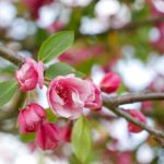 实时更新:博体足球比分带你掌握最新赛事动态 1g50df9s4