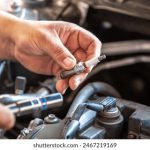 巴黎人赌博网址解析:如何选择适合你的博彩网站 lx0qs