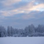 真人赌钱:体验真实赌场的刺激与乐趣 n8f8v2ipgt