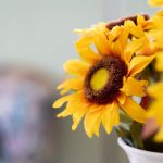 如何顺利完成永乐国际注册并享受优质服务 qrugo